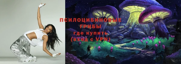 бошки Абаза