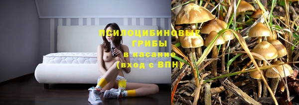прущая мука Абдулино