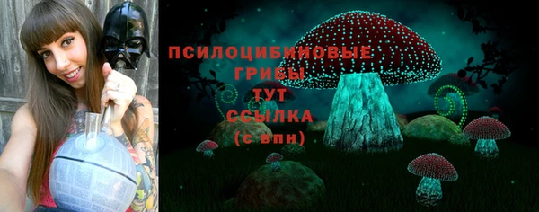 бошки Абаза