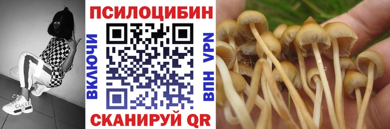 Галлюциногенные грибы Cubensis  Нефтегорск 